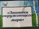 Викторина «Знатоки окружающего мира»